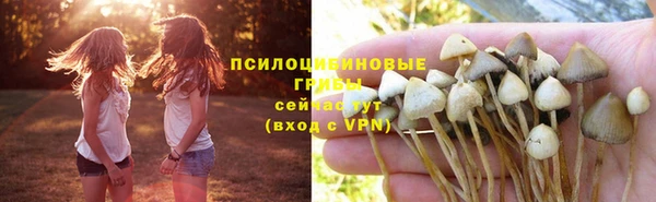 mdpv Алексеевка
