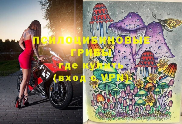 прущая мука Алзамай