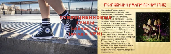 эйфоретик Алексин