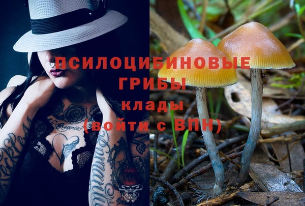 ALPHA-PVP Пестово